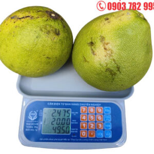 CÂN TÍNH TIỀN GIÁ RẺ 30KG c