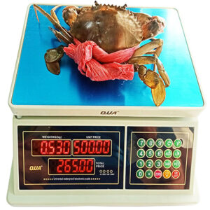 Cân tính tiền chống nước QUA 832 Đài Loan
