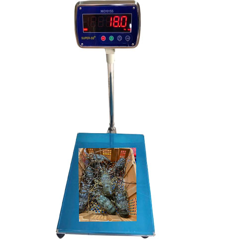 CÂN 50 X 60 CM INOX 300KG SUPER SS