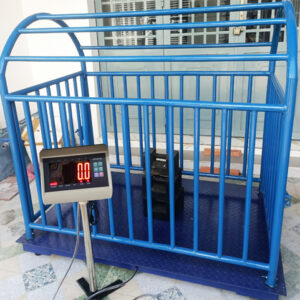 Cân lồng heo 500kg 1 mét x 1,3 mét