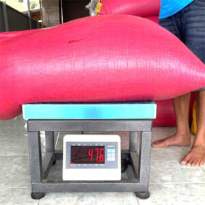 Cân ghế thép 300kg 4050 T7E